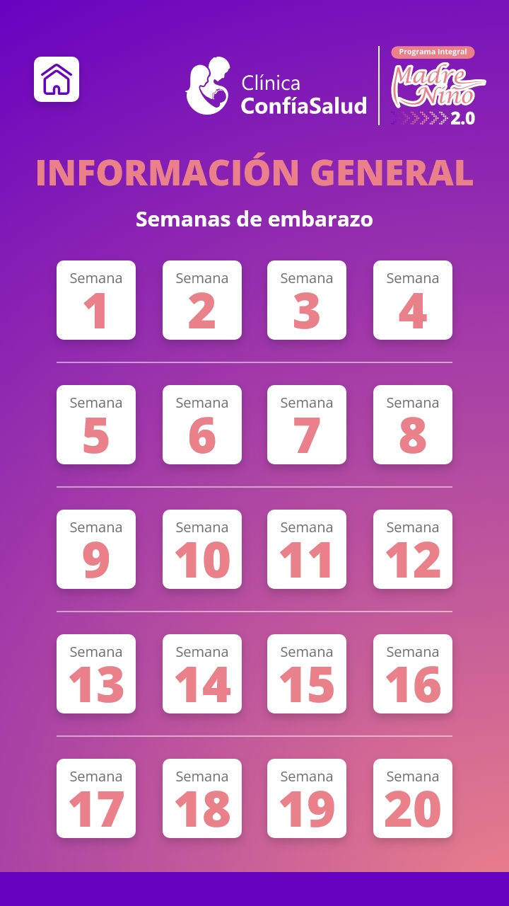 Información general: semanas de embarazo
